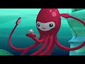 @Octonauts - The Giant Squid | Full Episode 6 | @OctonautsandFriends