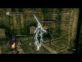 Your average day coop'ing in Jank Souls Remastered