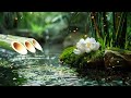 Relaxation Music: soothing water sounds, Full Nature Sound Brain Therapy, Sleep Relaxation, Insomnia