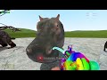 ALL NEW ZOOCHOSIS MUTATED ANIMALS VS ALL ZOONOMALY MONSTERS In Garry's Mod!