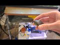 Adding a turtle topper! How to give extra water to turtles!