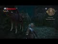 The Witcher 3: Wild Hunt - WTF Moments