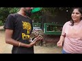 Prani : The Pet Sanctuary in Bangalore | Only in Bangalore | Perfect Picnic Spot