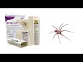 How to Get Rid of Brown Recluse Spiders (4 Easy Steps)