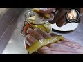 Arabic Pickles /Vegetables Pickles For Shawarma /Without Oil Pickles /