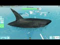 SharkBite 2 is coming soon so let's play some SharkBite | Sharkbite