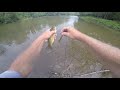 Summer Smallmouth in PA during the month of July