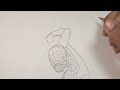 How To Draw SPIDER-MAN from 