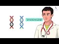 MTHFR Gene Mutations: Health Conditions, Symptoms, and Treatments Explained