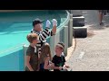 Tom The Seaworld Mime Having Too Much Fun