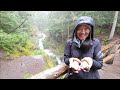 Mt. Rainier National Park｜Family Reunion Camping Party｜家庭露营野炊聚汇