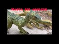 Especial 200 subscriptores: Documental: la vida de un velociraptor