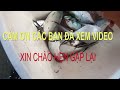 CÂU CÁ BIỂN BÌNH ĐỊNH  T1