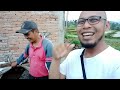 CARA MEMBIBITKAN BELUT DI DRUM BEKAS! Tips singkat bermanfaat bagi para pemula.