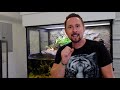 How to Build & Set-up a BIG Paludarium for Cichlids Frogs and Lizards (Bioactive)