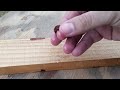 Anillo de madera - Fácil de hacer