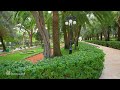 Happy New Year! Bahai Gardens in Haifa. (not a Complete Review) Beautiful Israel