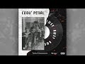 Codu' Penal - N-ai CV (Official Track)