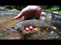 Fly Fishing For BIG Native Brook Trout! (Creek Fishing)