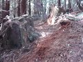 Building a new trail
