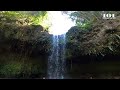 Easy Waterfall Hike on Maui! |📍 Twin Falls, Maui