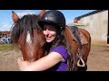 Riding the Australian Draught Horse at Marlie Draught Horse Stud