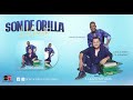 Gozo Mi Vida  -  Son de Orilla Vallenata 2022