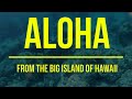 Spearfishing the Shallows - 3-Prong Session with a 7ft Evolve Spear - Big Island of Hawaii