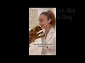 KISS YOUR DOG ON THE HEAD PART 4 😘 TIKTOK TRENDS ❤️CUTE AND SWEET DOGS 🐶