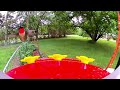 Solar Hummingbird Feeder w/Camera - #rubythroatedhummingbird #hummingbirdfeeder #hummingbird