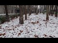 Walking on fallen leaves and snow, rustling, birdsong, white noise asmr