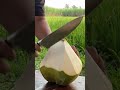 amazing top style narrow coconut cutting skill #asmr #coconut #cuttingskills #greencoconut #knife