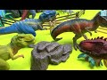 Welcome To The Jurassic Park | DIY Dinosaur Zoo | Tyrannosaurus Spinosaurus Stegosaurus