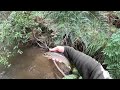 25 Minutes Of Red Hot Trout Fishing