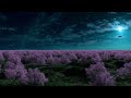 Fall Asleep in Under 3 MINUTES★Deep Sleep Journey★Healing of Stress, Anxiety and Depressive States
