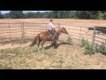 Bailey Barrett(15)/Bronc Pen/Smurf