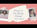 Cranes in the Sky Cover by Shaani ♥