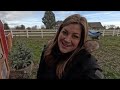 Cleaning Up the New Barn & Adding Potted Blue Spruce Trees! 🐎🪴🌲 // Garden Answer