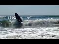 Trying to surf with a kayak in Morro Bay California