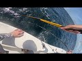 BEST COMMERCIAL FISHING in Jupiter, FL