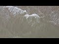 Waves Breaking from a drone's eye