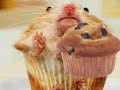 that hamster is looking awfully like a muffin