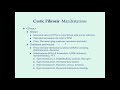 Cystic Fibrosis, Part I - CRASH! Medical Review Series
