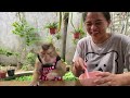 Monkey Lyly doesn't like to eat the corn meat her mother prepared for her because...