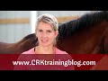 Horse Terminology: Learn the Parts of the Horse