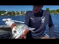 CRACKER Session On The Noosa River!! | Jewie and Trevally