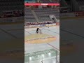 bullies in Ice hockey