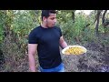 Coconut Chicken - Cooking Chicken In green Coconut In My Village - Healthy Chilli Chicken Recipes