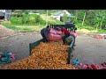 Harvesting a Truckload of Corn From Villagers To Sell - Farm Life - Daily Farm