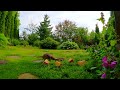 Cat TV: Chipmunks, Birds, Squirrels in a Beautiful Garden  6
